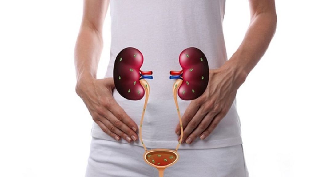 Nhiễm trùng tiết niệu thường gặp ở giới nữ
